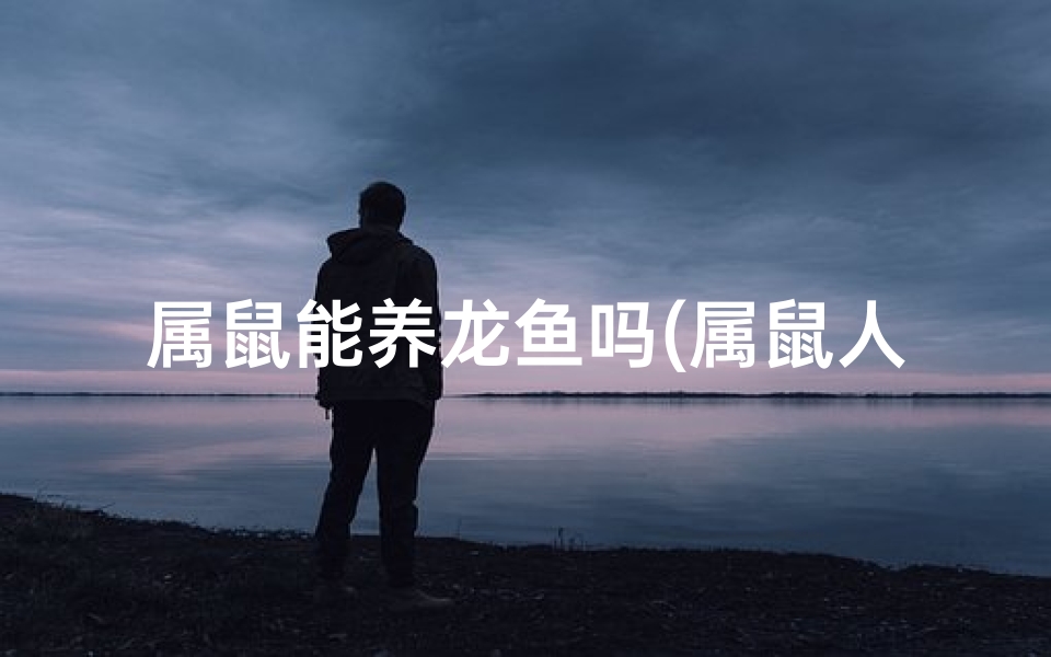 属鼠能养龙鱼吗(属鼠人养银龙鱼：吉星高照好运来)