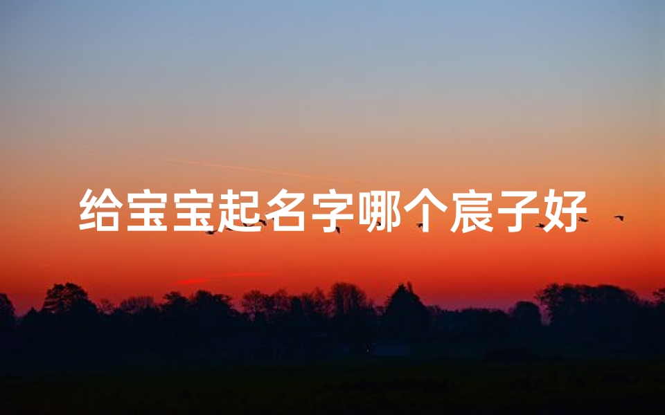 给宝宝起名字哪个宸子好听(宸字取名女孩有寓意属兔最搭的名字有哪些 )