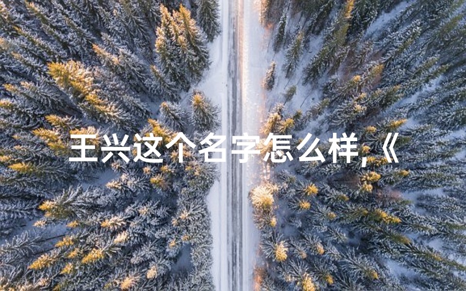 王兴这个名字怎么样,《王兴宝宝取名：好听名字大揭秘》