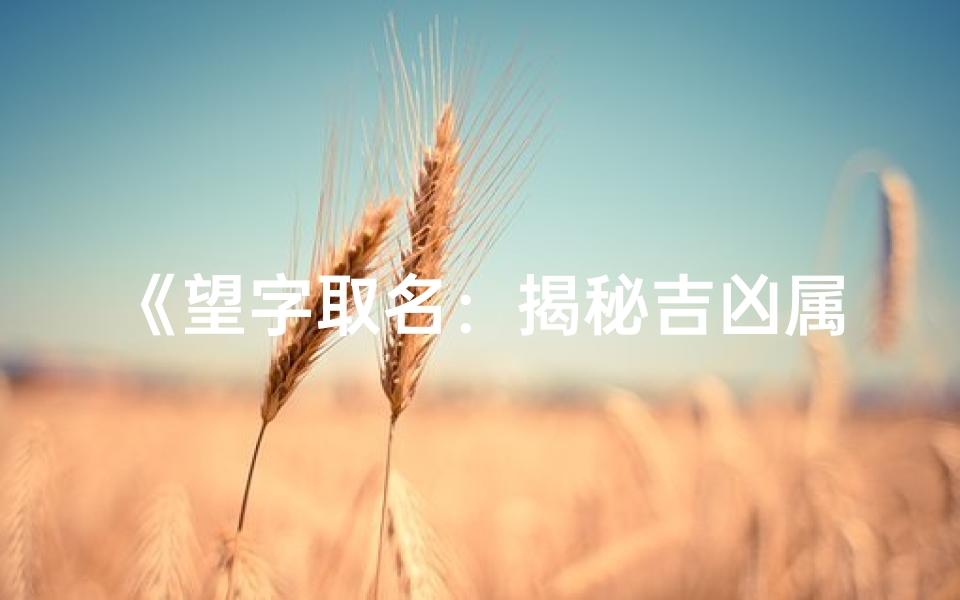 《望字取名：揭秘吉凶属性之谜》