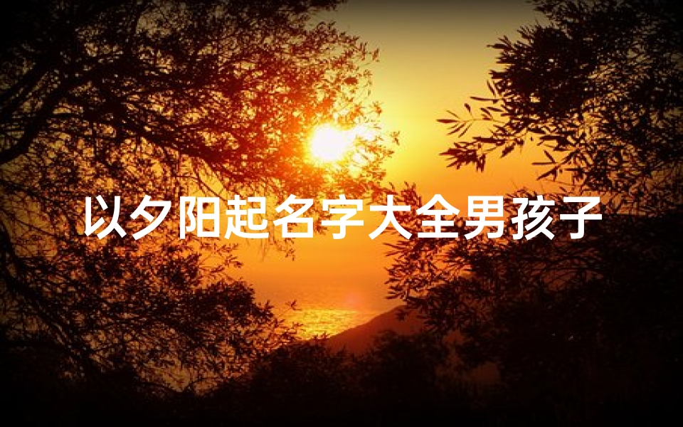 以夕阳起名字大全男孩子(男孩成语取名独特稀少的名字)