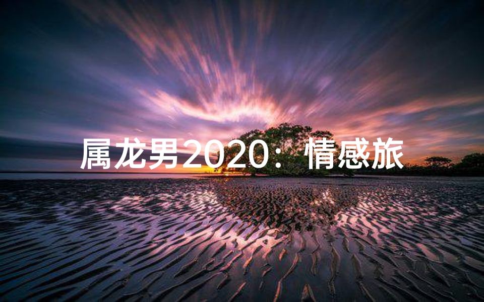 属龙男2020：情感旅程，爱意盎然