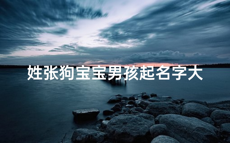 姓张狗宝宝男孩起名字大全(我和老公都姓张,给宝宝起名字,属狗的)