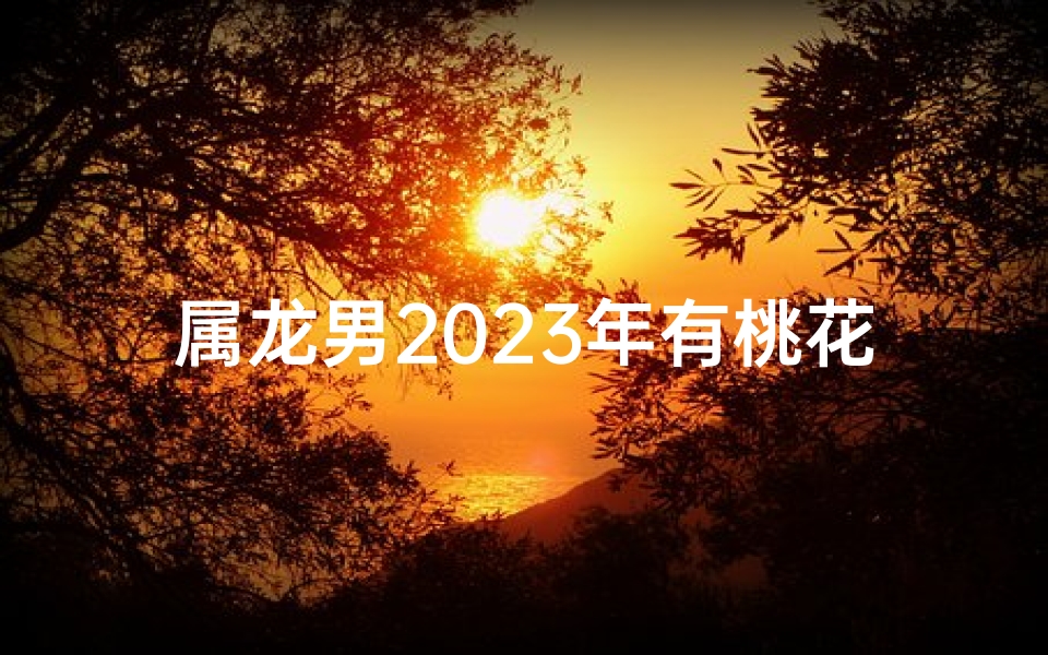 属龙男2023年有桃花运吗-属龙男士2023年桃花运如何？运势揭秘