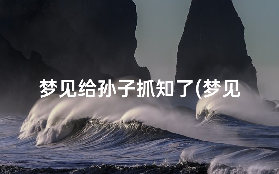 梦见给孙子抓知了(梦见抓知了猴_梦见抓知了猴相关)