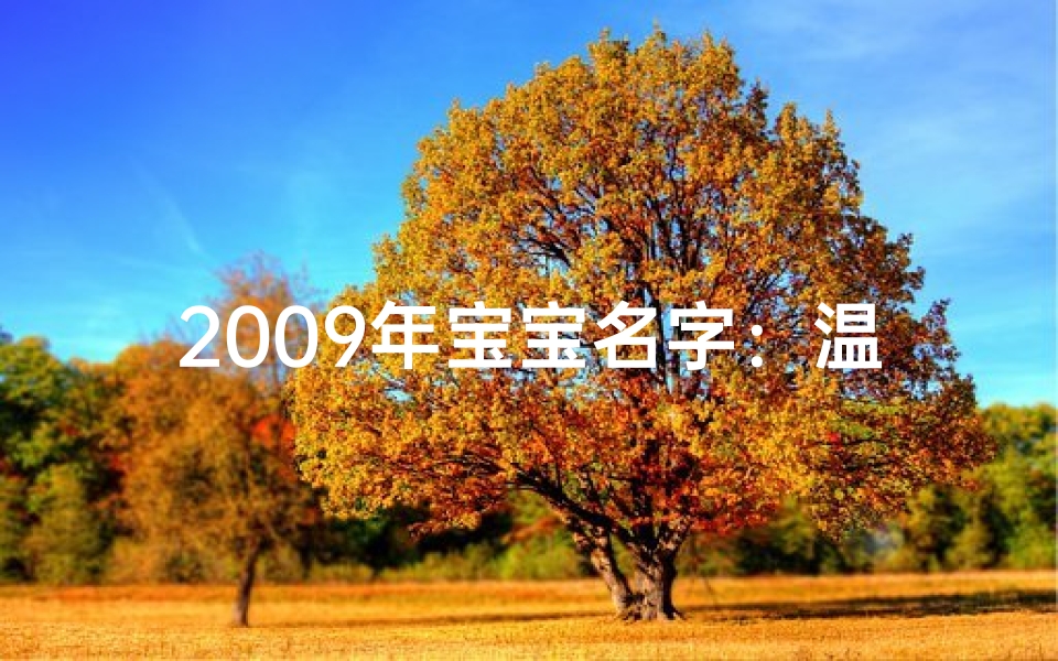 2009年宝宝名字：温馨时光里的美好寓意