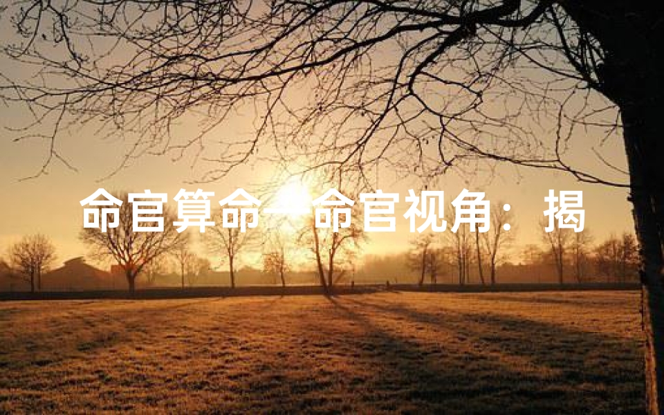 命官算命—命官视角：揭秘吉凶断定之道