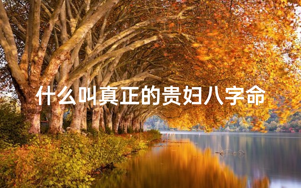 什么叫真正的贵妇八字命理图解,揭秘：真正的贵妇八字命理之谜