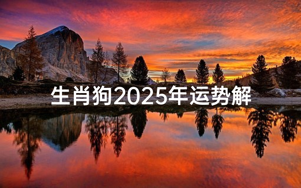 生肖狗2025年运势解析-把握未来走向