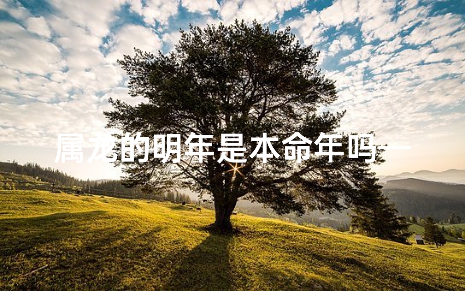 属龙的明年是本命年吗—属龙明年犯什么太岁