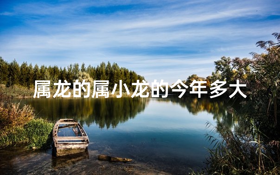 属龙的属小龙的今年多大_属小龙的今年多大岁数了？