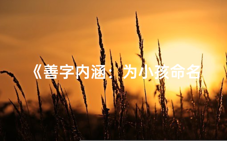 《善字内涵：为小孩命名，寓意美好成长》