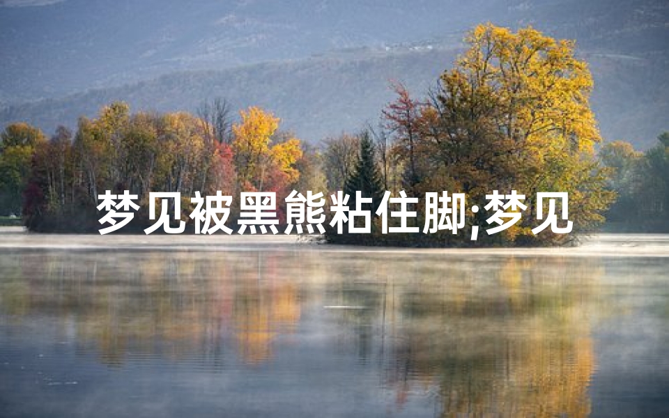 梦见被黑熊粘住脚;梦见被黑熊咬伤