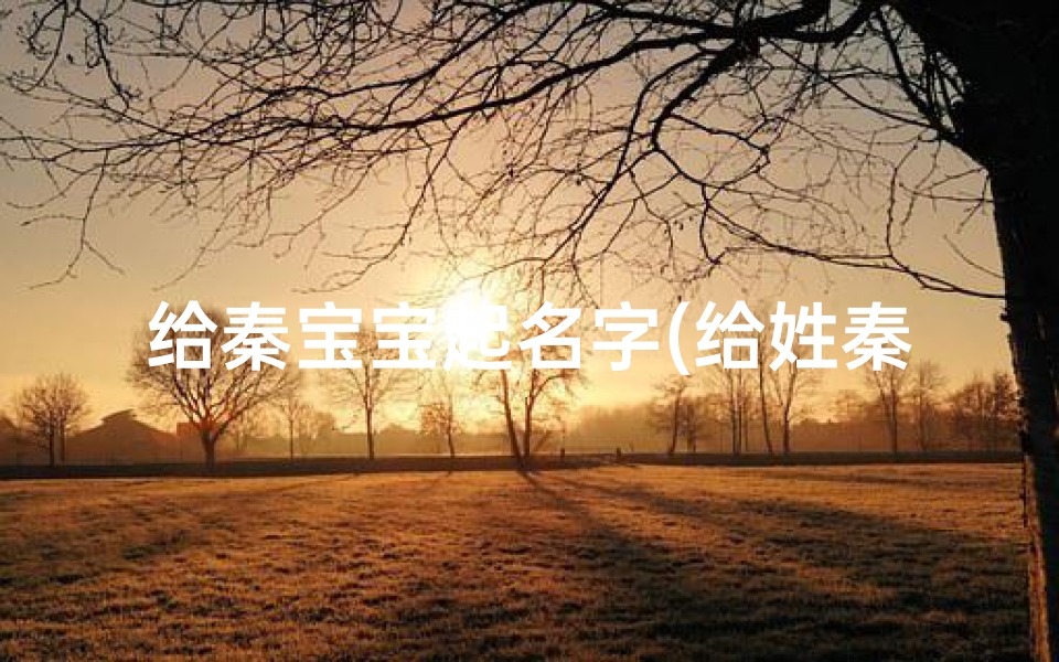 给秦宝宝起名字(给姓秦的宝宝取个好听的名字)