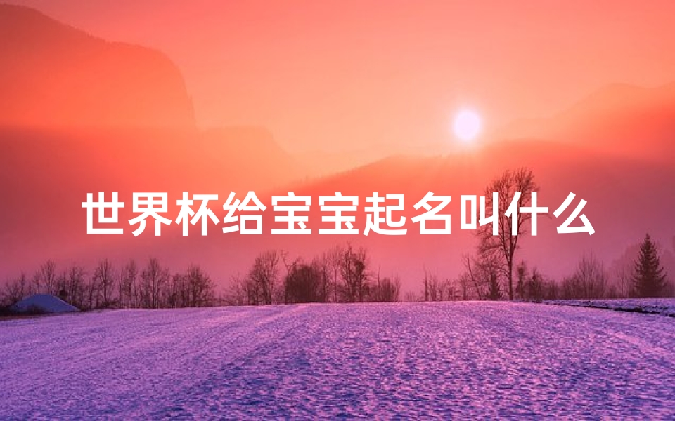 世界杯给宝宝起名叫什么(宝宝取小名怎么取)