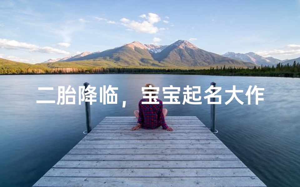 二胎降临，宝宝起名大作战