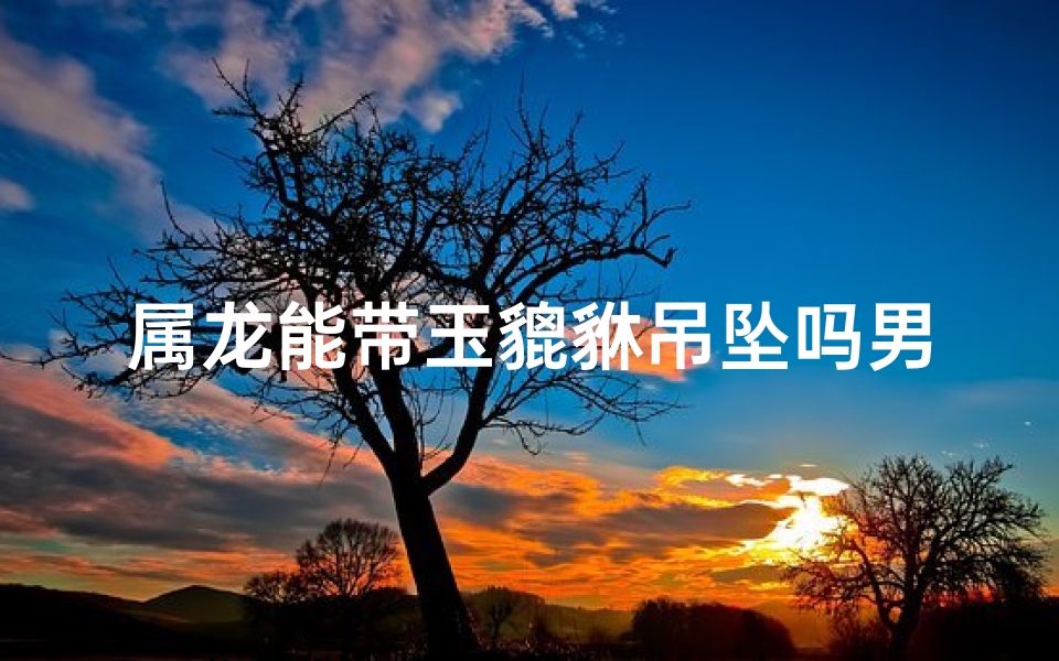 属龙能带玉貔貅吊坠吗男