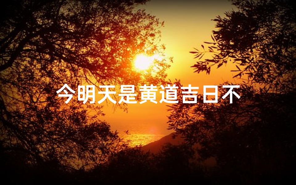 今明天是黄道吉日不