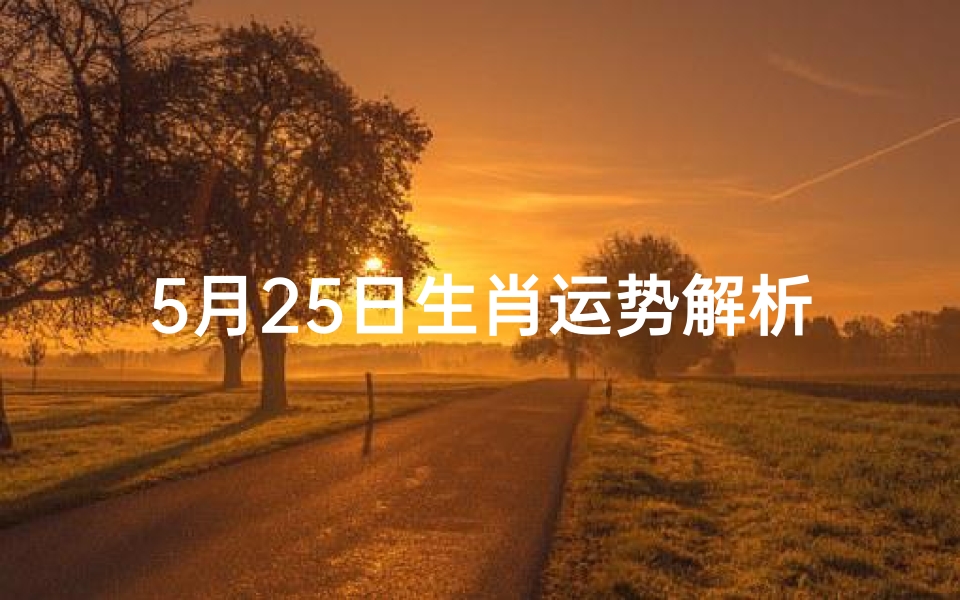 5月25日生肖运势解析-每日运势指南