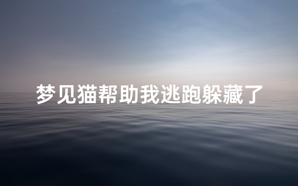 梦见猫帮助我逃跑躲藏了—梦见猫帮助自己是什么意思