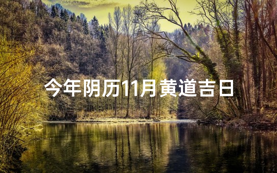 今年阴历11月黄道吉日;今年农历11月黄道吉日