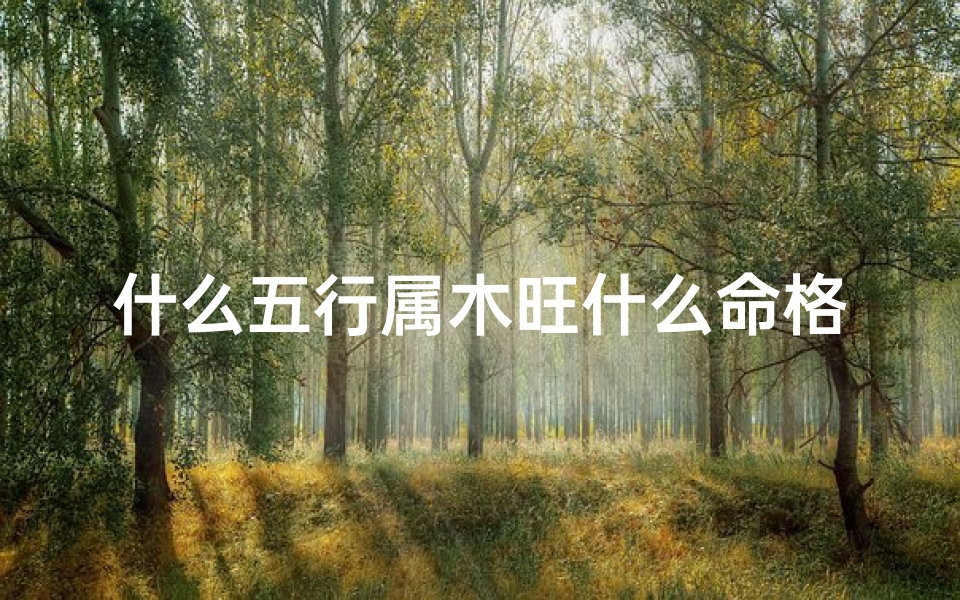 什么五行属木旺什么命格,五行属木旺命格解析：揭秘木旺命格的特质与运势