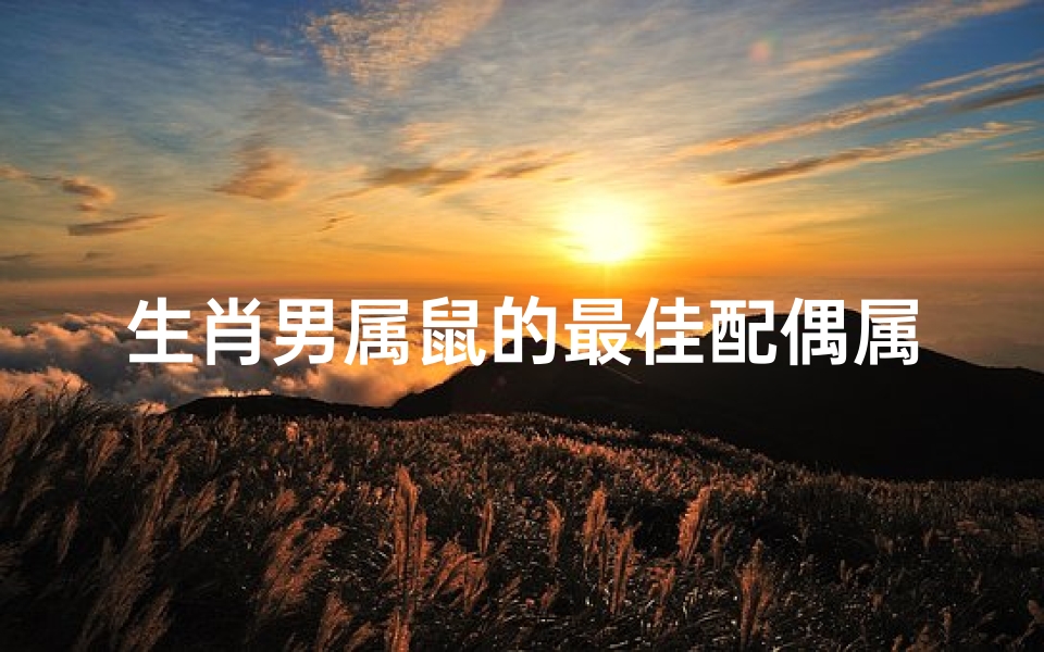 生肖男属鼠的最佳配偶属相-男属鼠最佳配偶是什么
