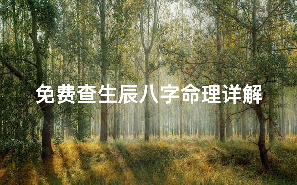 免费查生辰八字命理详解;免费查八字命理详解，揭秘命运奥秘