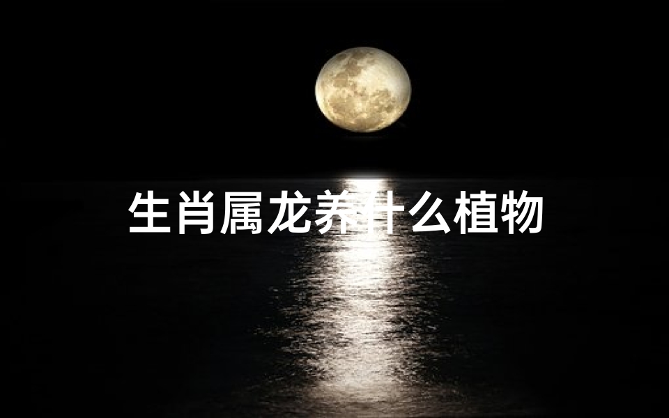 生肖属龙养什么植物