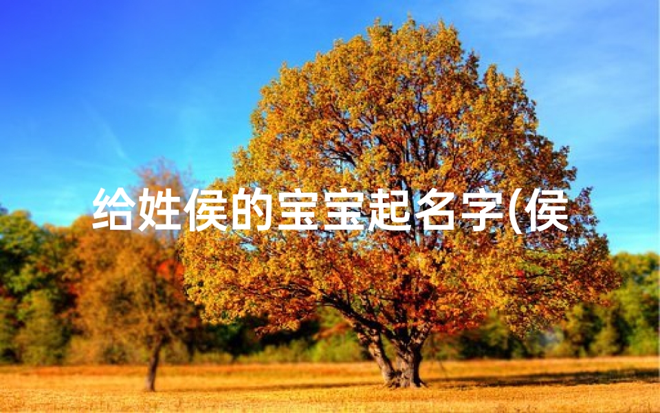 给姓侯的宝宝起名字(侯姓2025新款男孩名字大全)