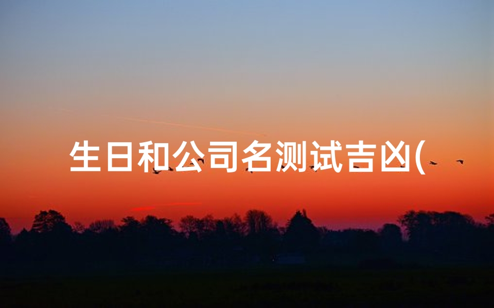 生日和公司名测试吉凶(公司测名打分吉凶 )