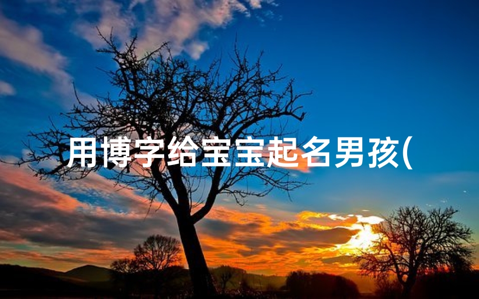 用博字给宝宝起名男孩(男孩带博字100分的名字有哪些 )