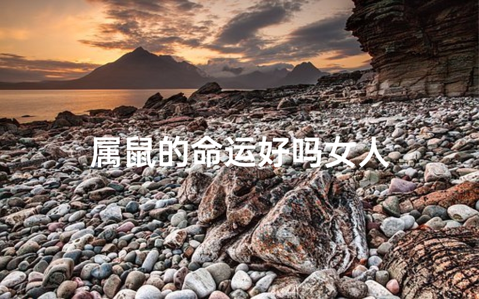 属鼠的命运好吗女人