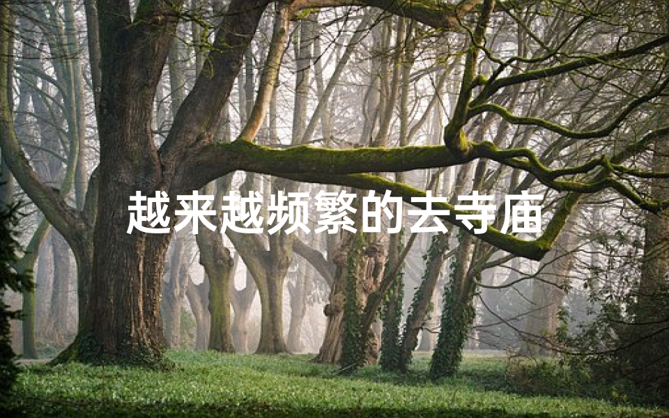 越来越频繁的去寺庙