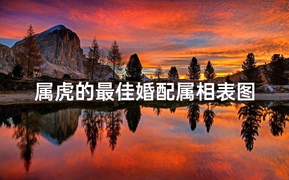 属虎的最佳婚配属相表图(属虎配对属相婚配表)