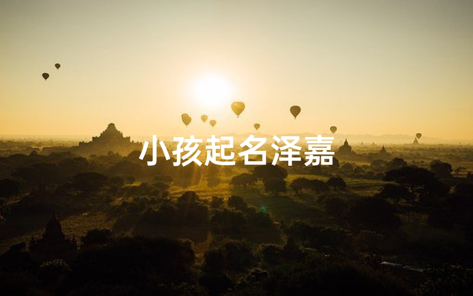 小孩起名泽嘉