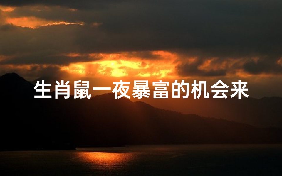 生肖鼠一夜暴富的机会来了、生肖鼠财运亨通：一夜暴富机会将至