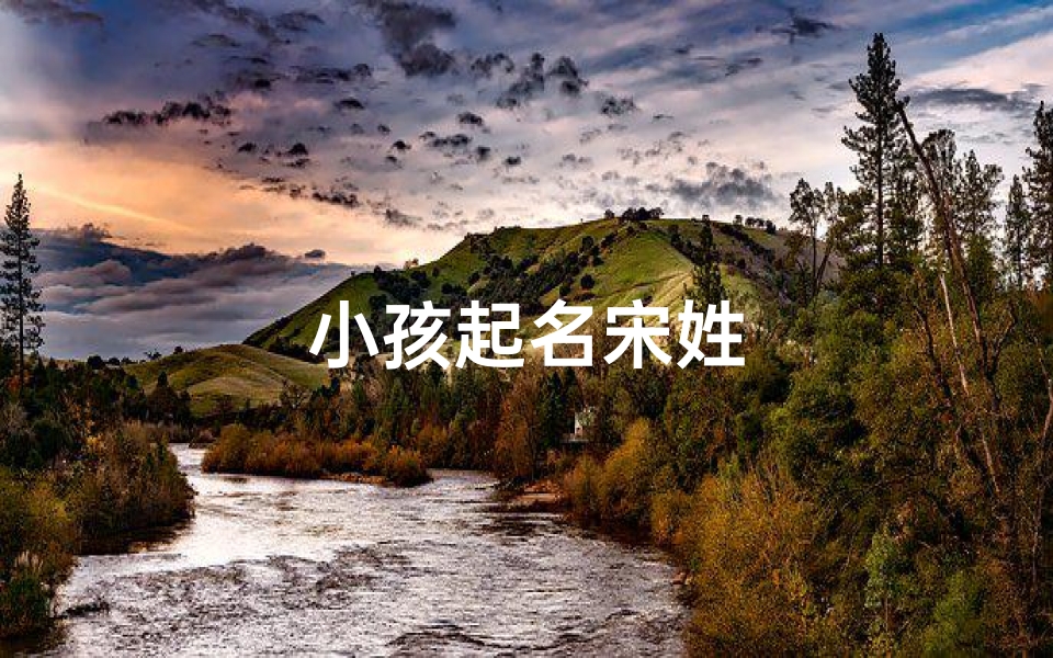 小孩起名宋姓