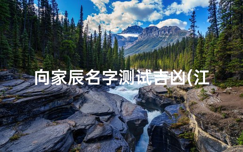 向家辰名字测试吉凶(江兴辰整体名字测试多少分)