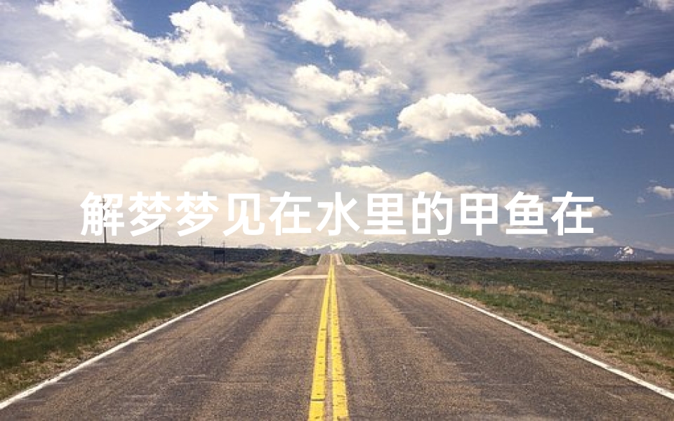 解梦梦见在水里的甲鱼在游(梦到甲鱼在水里游)