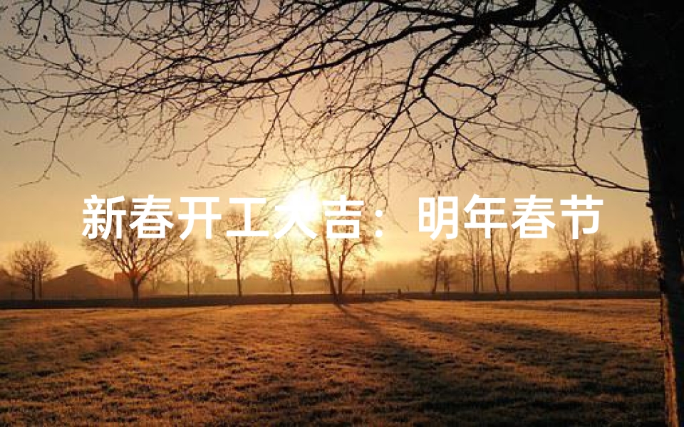 新春开工大吉：明年春节最佳吉日揭晓