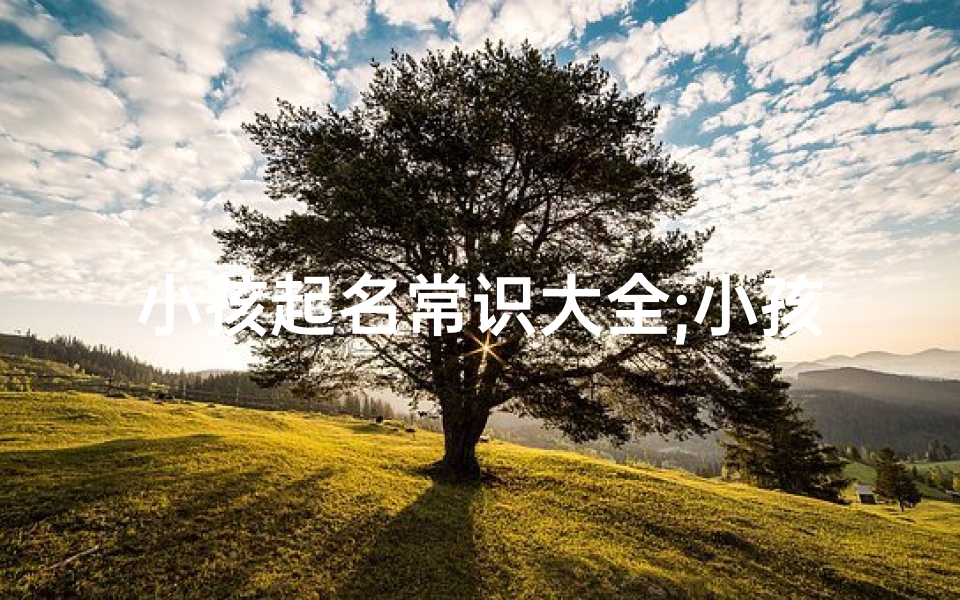 小孩起名常识大全;小孩起名 宝宝名字大全