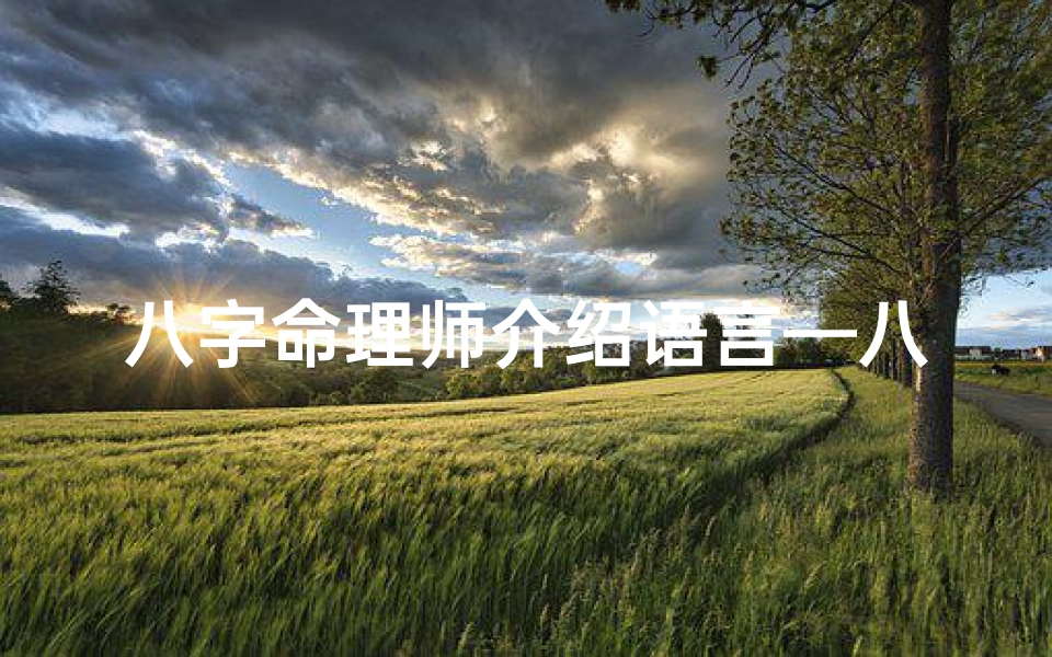 八字命理师介绍语言—八字命理视频讲座谁的最好
