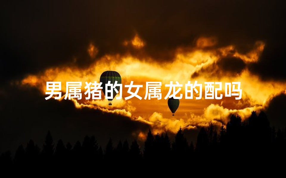 男属猪的女属龙的配吗