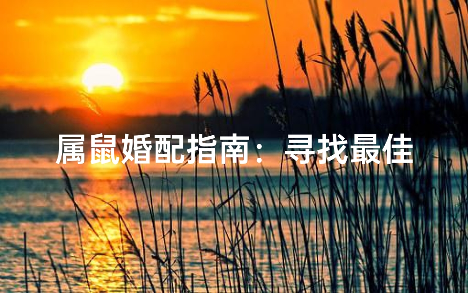 属鼠婚配指南：寻找最佳伴侣秘诀