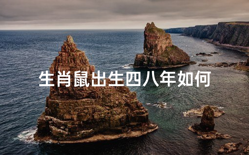 生肖鼠出生四八年如何